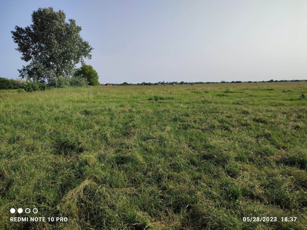 View of property from the road