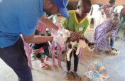 SAVE 1500 STRAY ANIMALS IN CAMEROON (DOGS & CATS)