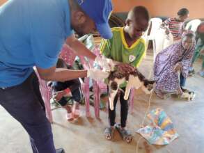 SAVE 1500 STRAY ANIMALS IN CAMEROON (DOGS & CATS)