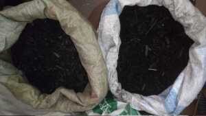 This biochar was made using the gasifier stove