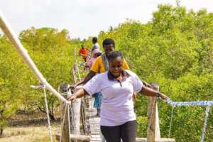 Boardwalk tour