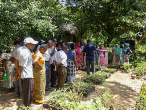 Learning about tree nursery