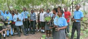 Students during tree planting