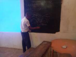 student drawing a flower during a pollinator class