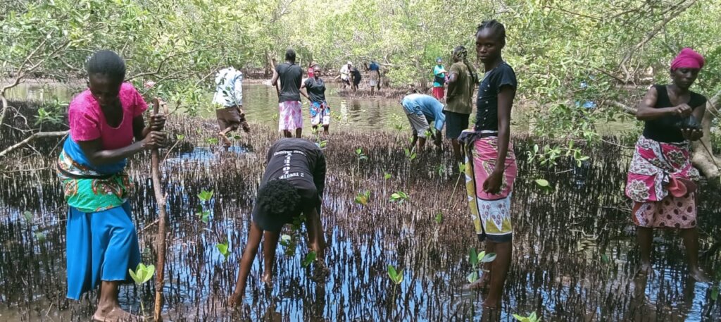 Community members during mangrove planting