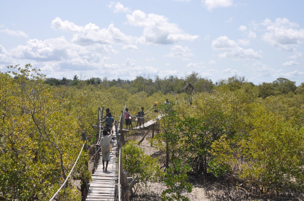 Eco-tourism structure to raise funds for ASSETS