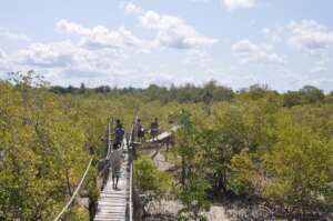 Eco-tourism structure to raise funds for ASSETS