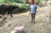 Supporting Small Business by Poor Entrepreneurs