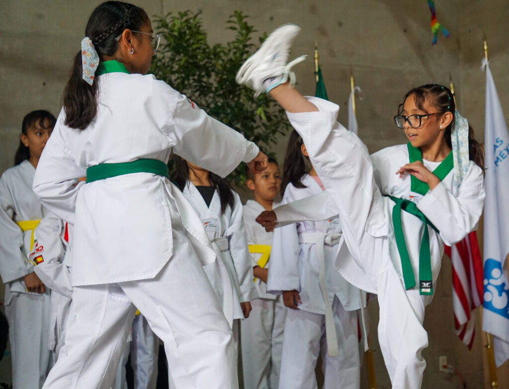 Martial Arts Experts