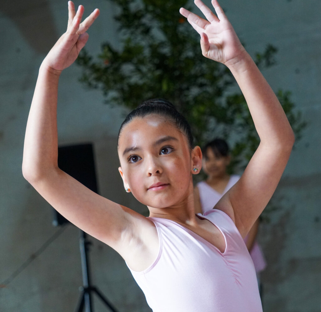 Ballet Princess