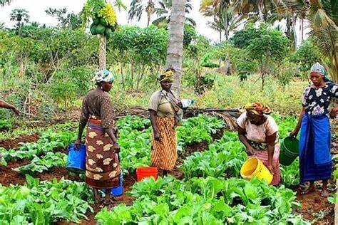 Empower 500 Women, End Poverty Cycle in Tanzania