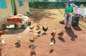 Empower 500 Women, End Poverty Cycle in Tanzania