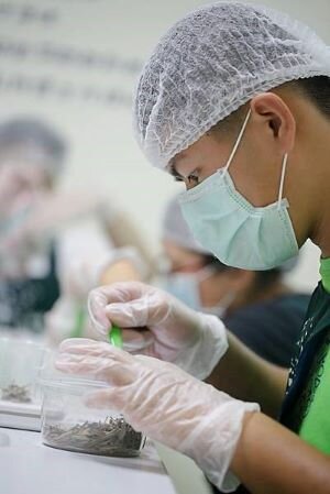 Employment Service Program for the Disabled People