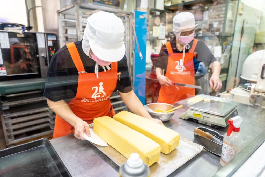 Employment Service Program for the Disabled People