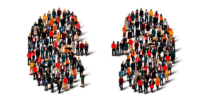 Kidney Solidarity