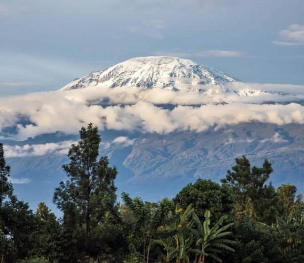 Mt. Kilimanjaro view