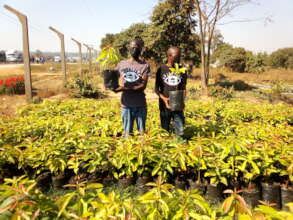Community Projects