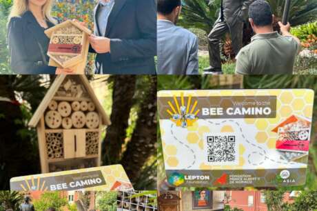 Bee Camino