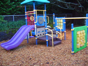 Existing bark chip surface