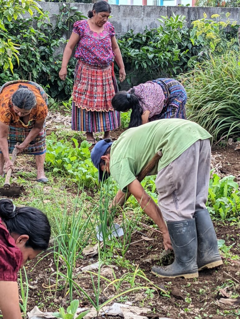 Empowering 27 Mayan families to overcome poverty.