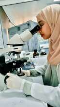 Internship in a laboratory