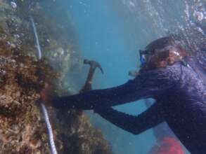 Gathering data through citizen science