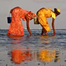 Mama Karanga Fishmongers