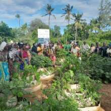 Training Mama Karanga in kitchen gardening