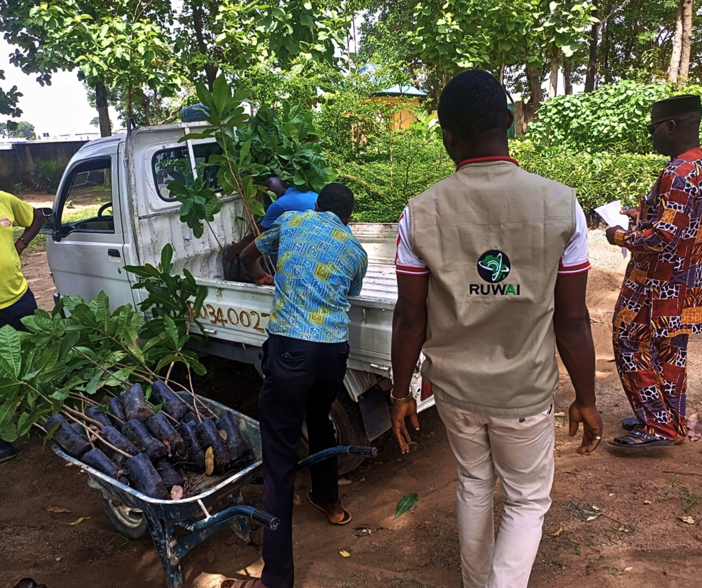 Fruit Trees For Rural School Children In Nigeria