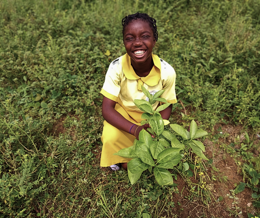 Fruit Trees For Rural School Children In Nigeria