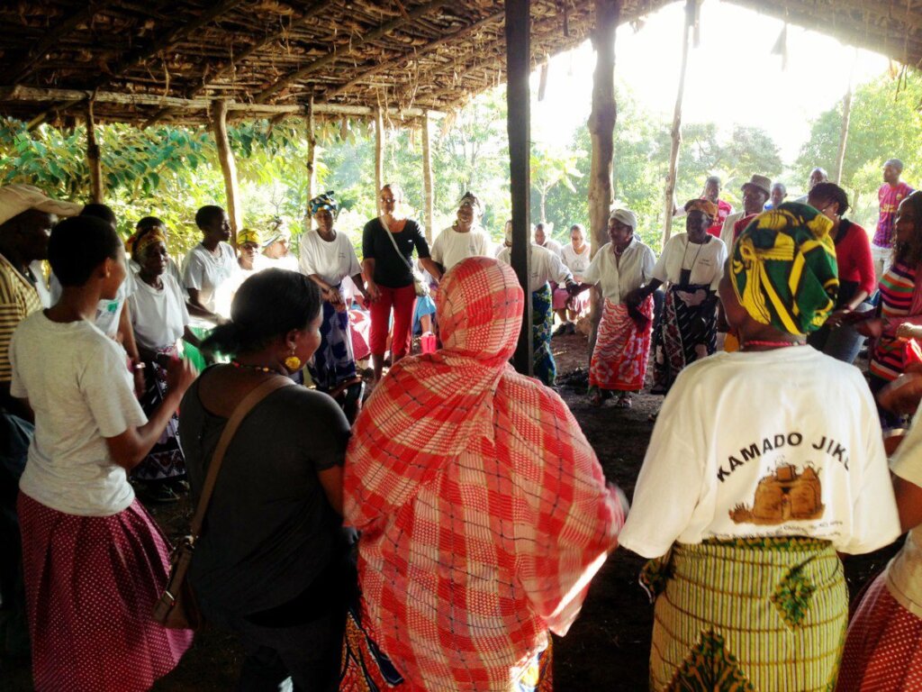 Save 500 at-risk People through Care Farm-Tanzania