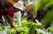 Save 500 at-risk People through Care Farm-Tanzania