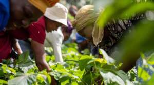 Save 500 at-risk People through Care Farm-Tanzania