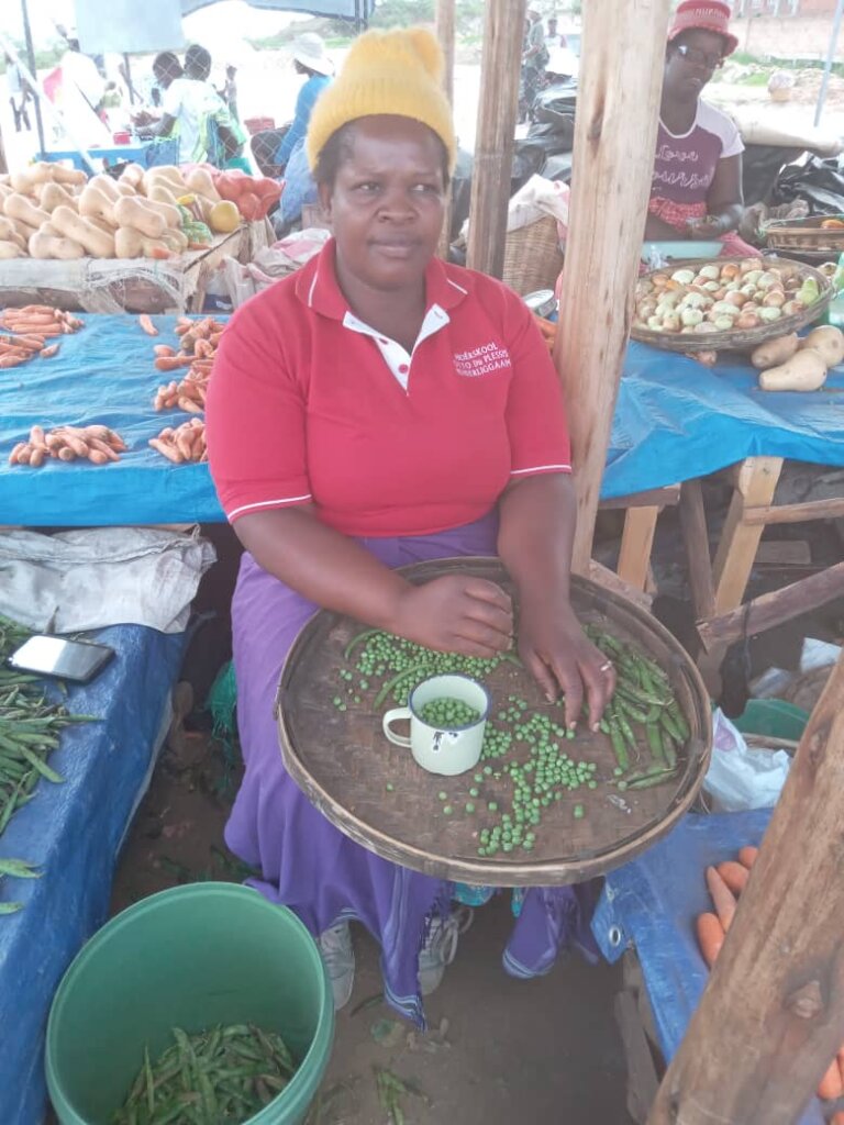 local people working with the field agents