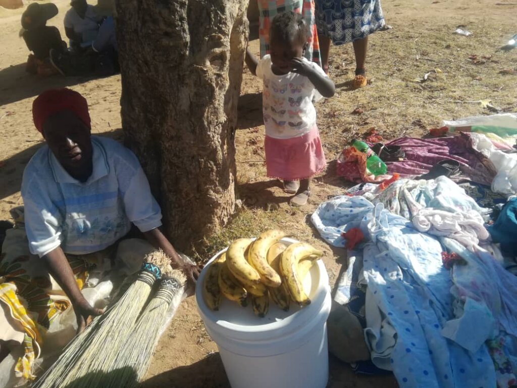 'TARIRO'  Give HOPE to 100 women in rural Zimbabwe