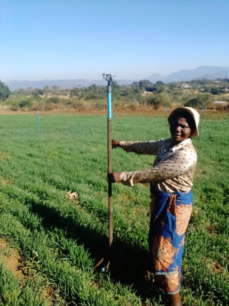 'TARIRO'  Give HOPE to 100 women in rural Zimbabwe