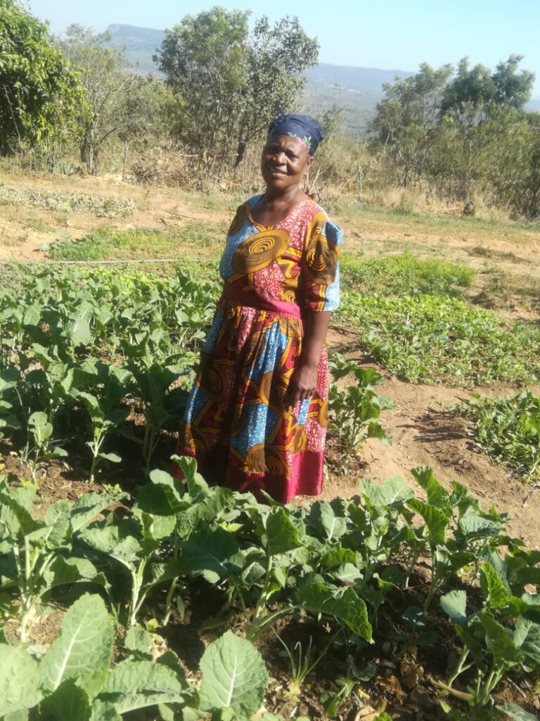 'TARIRO'  Give HOPE to 100 women in rural Zimbabwe