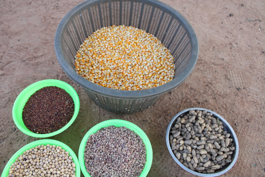 Support 30 Women in Ullo to Increase Crop Yield