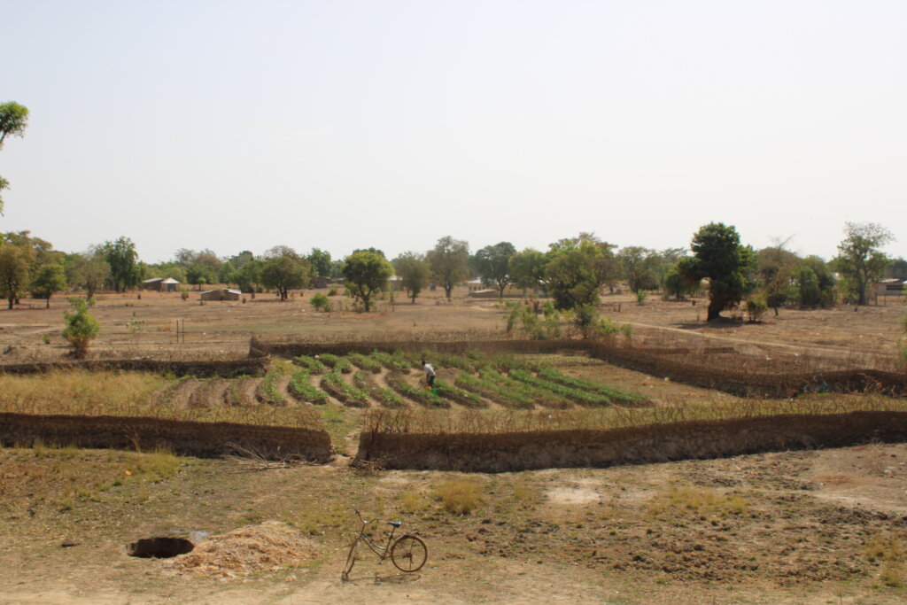 Support 30 Women in Ullo to Increase Crop Yield