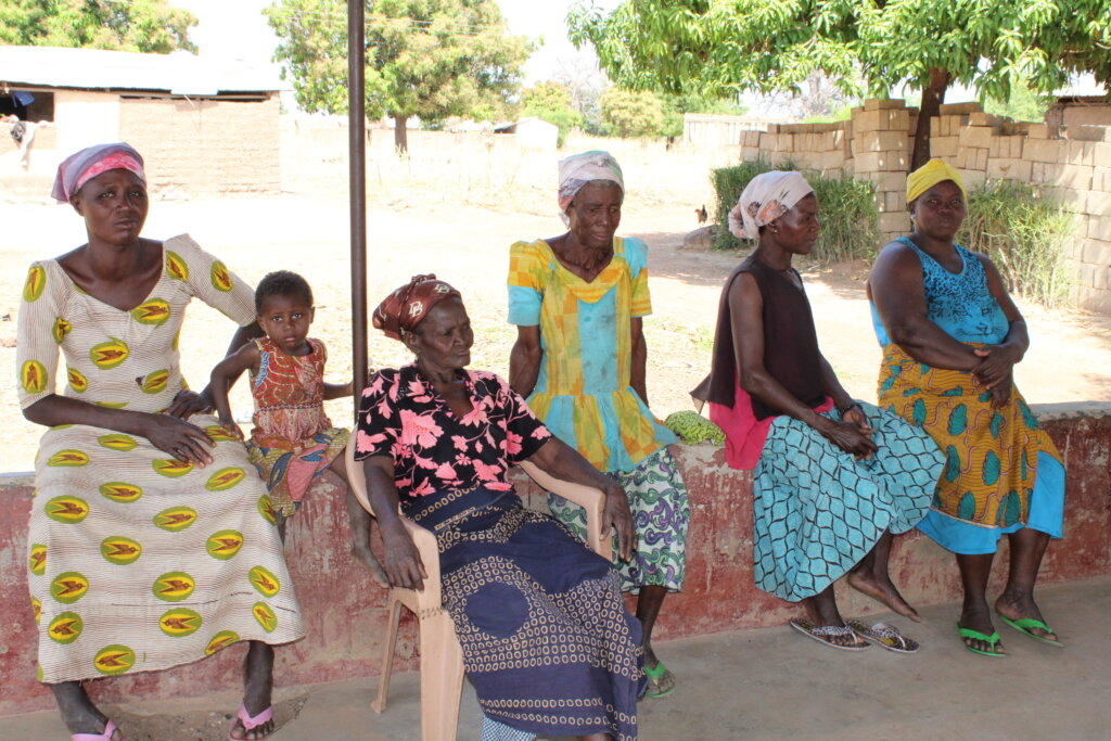 Support 30 Women in Ullo to Increase Crop Yield