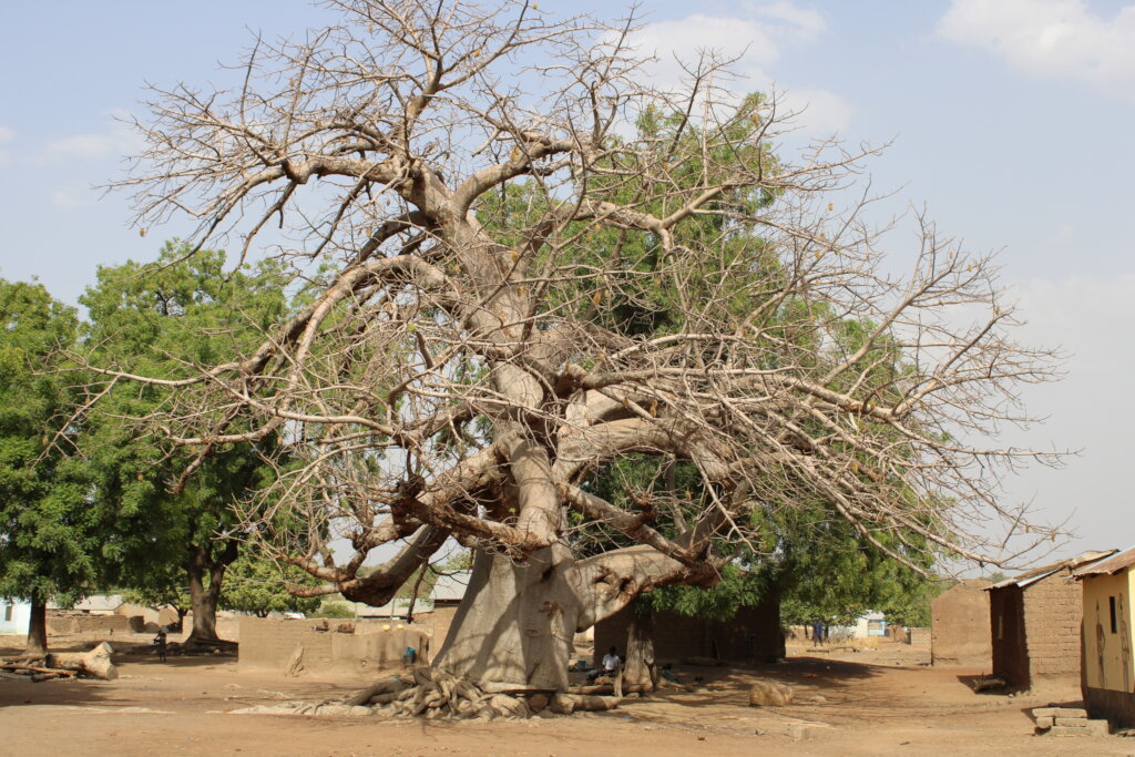 Support 30 Women in Ullo to Increase Crop Yield