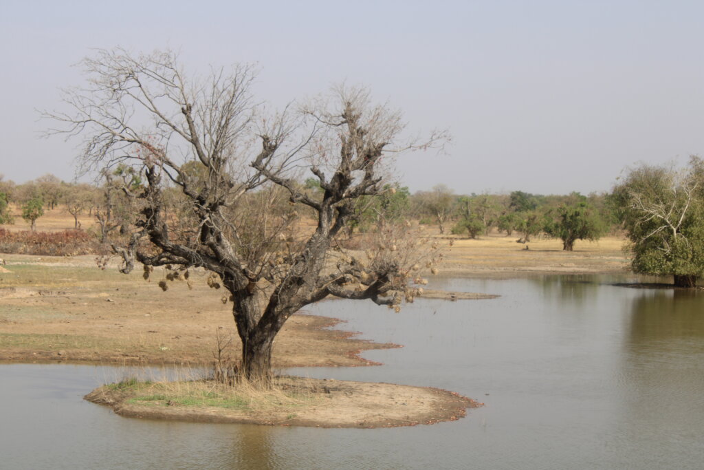 Support 30 Women in Ullo to Increase Crop Yield