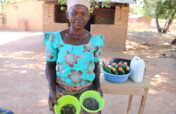 Support 30 Women in Ullo to Increase Crop Yield