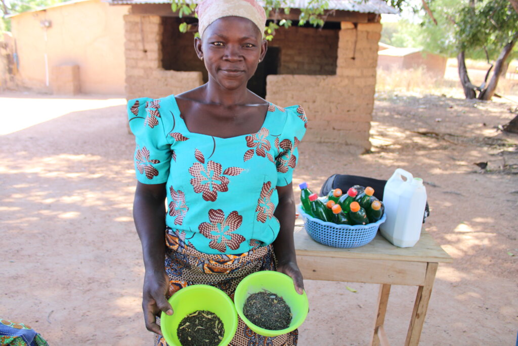 Support 30 Women in Ullo to Increase Crop Yield