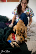 Helping their buddy wake-up in recovery room.