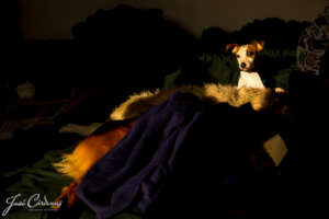 Time to wake-up! :)