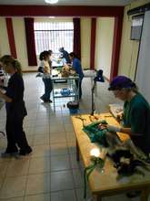 Operating Tables
