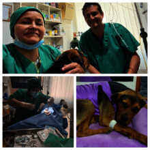 Dra. Ingrid and Dr. Jose Chu with Tomasa