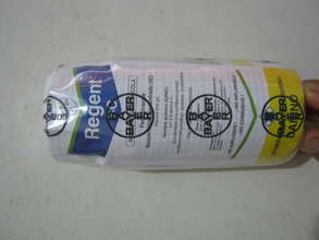Flea Meds (anti-pulgas)