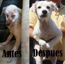 Before/After